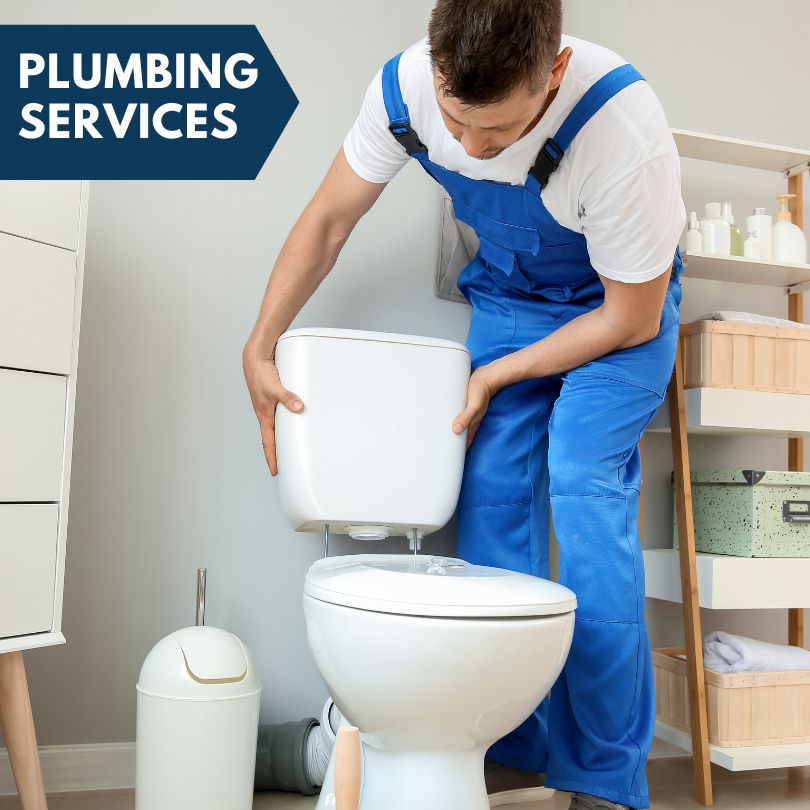Plumbing Company in Pleasantville, IA